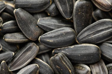 ayçekirdeği arkaplanı, kavrulmuş çekirdeklerin yakın çekimi