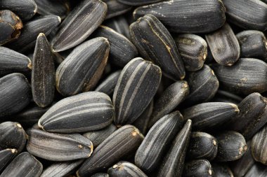 ayçekirdeği arkaplanı, kavrulmuş çekirdeklerin yakın çekimi