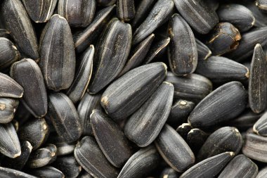 ayçekirdeği arkaplanı, kavrulmuş çekirdeklerin yakın çekimi