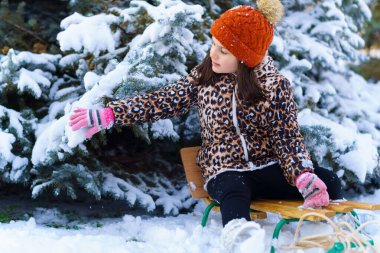 Kızakta oturan ve kış ormanlarında karla oynayan çocuk, parlak karlı köknar ağaçları, güzel doğa..