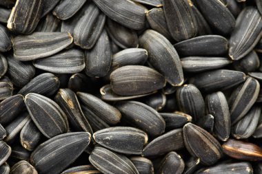 ayçekirdeği arkaplanı, kavrulmuş çekirdeklerin yakın çekimi