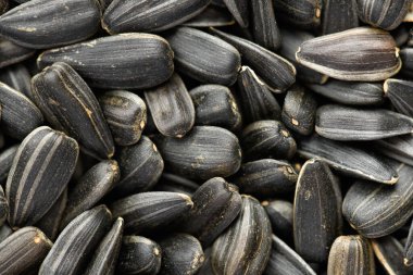 ayçekirdeği arkaplanı, kavrulmuş çekirdeklerin yakın çekimi