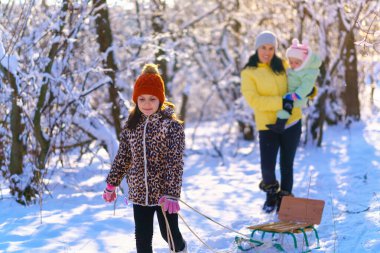 Aile kış ormanlarında yürür, anne ve çocuklar, parlak güneş ışığı ve kardaki gölgeler, güzel doğa.