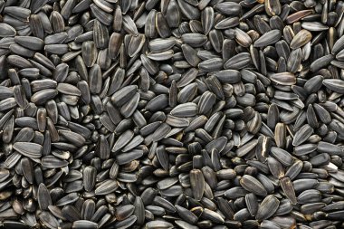 ayçekirdeği arkaplanı, kavrulmuş çekirdeklerin yakın çekimi