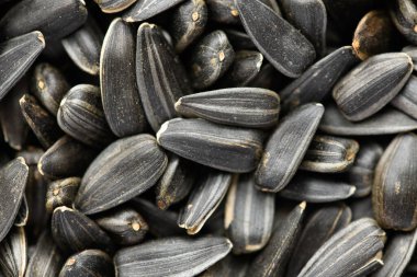 ayçekirdeği arkaplanı, kavrulmuş çekirdeklerin yakın çekimi