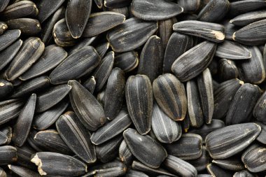 ayçekirdeği arkaplanı, kavrulmuş çekirdeklerin yakın çekimi