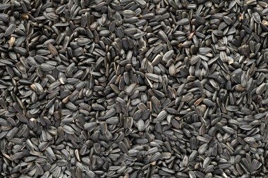 ayçekirdeği arkaplanı, kavrulmuş çekirdeklerin yakın çekimi