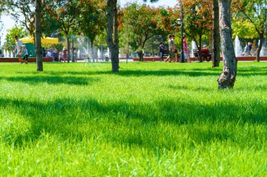 Bir yaz günü şehir parkında çimenler, ağaçlar, yollar ve banklar, yürüyen insanlar ve oynayan çocuklar, parlak güneş ışığı ve gölgeler