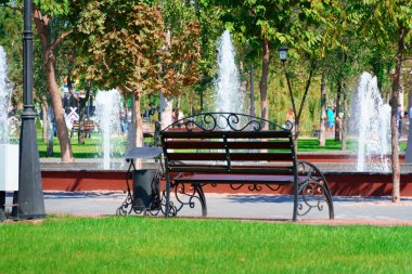 Şehir parkı bir yaz günü, çimenli ve ağaçlı yeşil çimenler, patika, banklar ve çeşmeler, parlak güneş ışığı ve gölgeler