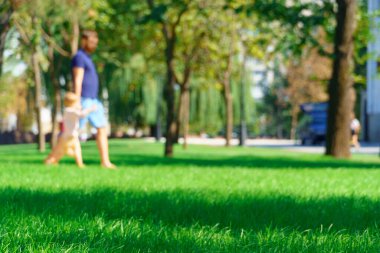 İnsanlar yürür ve çocuklar bir yaz günü şehir parkında oynarlar, çimenli ve ağaçlı yeşil çimenler, yollar ve banklar, parlak güneş ışığı ve gölgeler