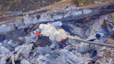 Doğada piknik, ateşte marşmelov pişirmek. Kömürde kızartılmış şiş üzerinde lokum..