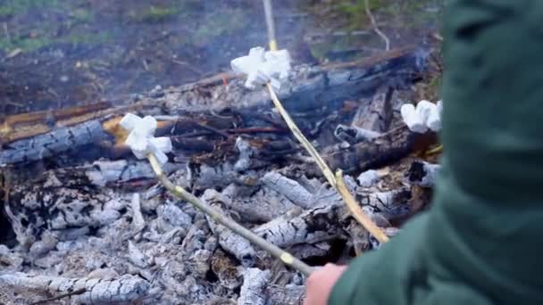 Piquenique Natureza Cozinhar Marshmallows Fogo Marshmallow Espetos Assados Carvão — Vídeo de Stock