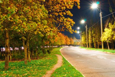 Sonbahar yolu geceleri, sarı yapraklı ağaçlar.