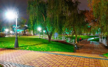 Geceleri sonbahar parkı, sarı yapraklı ağaçlar, sokak lambaları ve banklar.