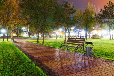 Geceleri sonbahar parkı, sarı yapraklı ağaçlar, sokak lambaları ve banklar.