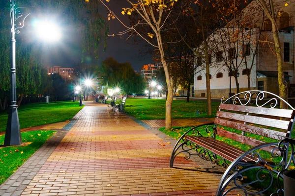 Geceleri Sonbahar Parkı Sarı Yapraklı Ağaçlar Sokak Lambaları Banklar — Stok fotoğraf