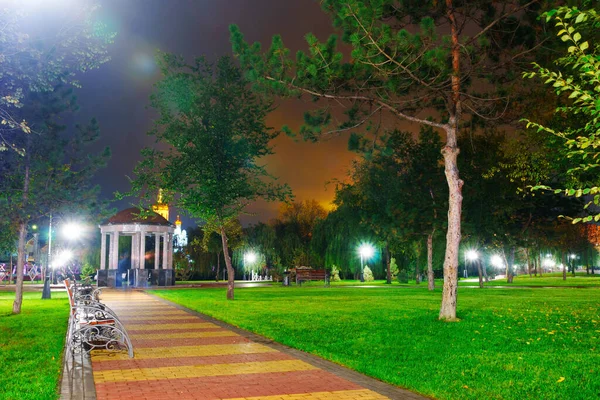 Parc Municipal Automne Nuit Arbres Aux Feuilles Jaunes Lampadaires Bancs — Photo