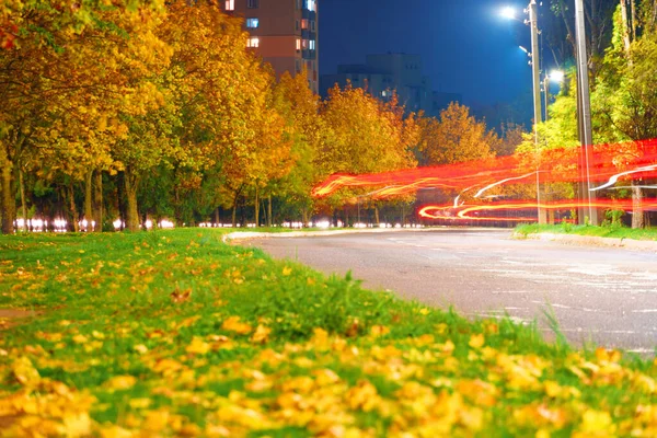 Autumn City Night Trees Yellow Leaves Road Houses — Stock Photo, Image