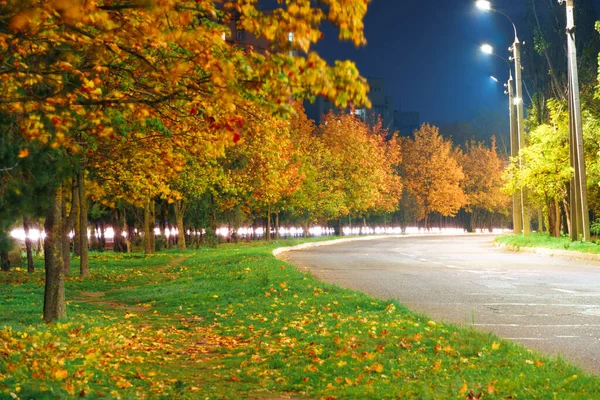 Φθινοπωρινός Δρόμος Μια Πόλη Νύχτα Δέντρα Κίτρινα Φύλλα — Φωτογραφία Αρχείου