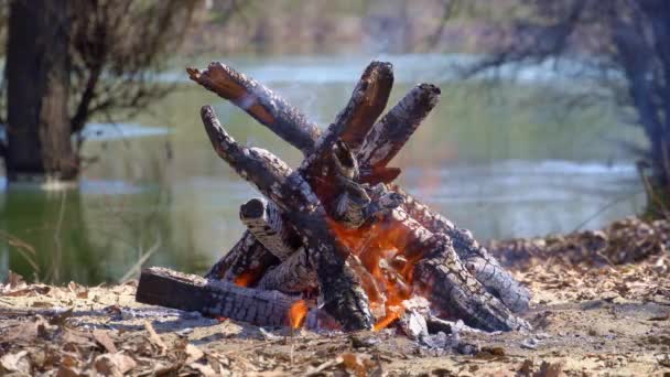 Kampvuur Oever Van Rivier Heldere Zonnige Dag Prachtige Natuur Reizen — Stockvideo