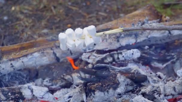 Piknik Természetben Mályvacukor Tűzön Mályvacukor Szénnel Pörkölt Nyárson — Stock videók