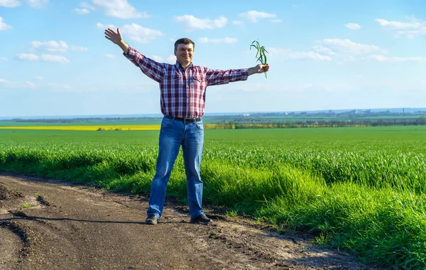 Чоловік Фермер Ходить Полю Одягнений Плетену Сорочку Джинси Перевіряє Оглядає — стокове фото