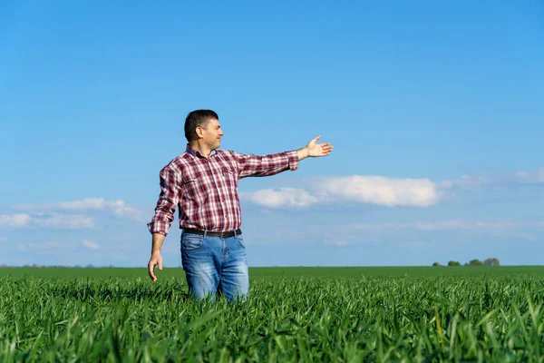 Человек Фермер Позирует Поле Одетый Клетчатую Рубашку Джинсы Проверяет Осматривает — стоковое фото