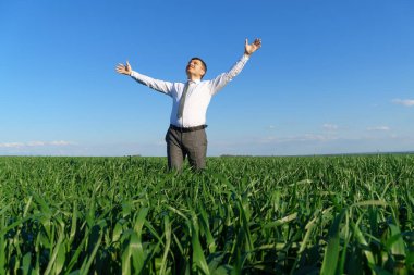 İş adamı bir tarlada poz veriyor, uzaklığa bakıyor ve dinleniyor, arka plan olarak yeşil çimenler ve mavi gökyüzü.