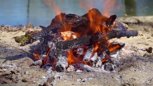 Bonfire Burning River Bank Bright Sunny Day Beautiful Nature Travel — Stock Video