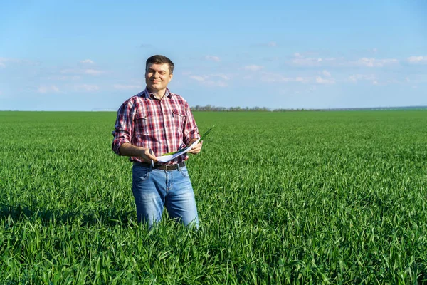 Человек Фермер Позирует Поле Одетый Клетчатую Рубашку Джинсы Проверяет Отчеты — стоковое фото