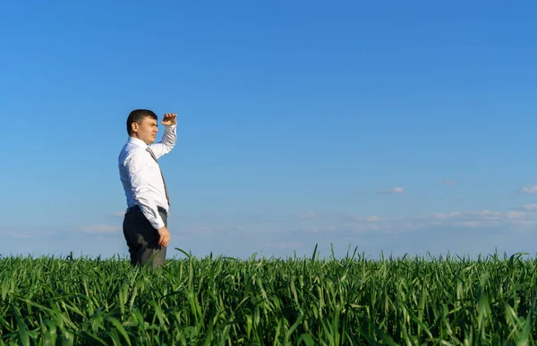 Бизнесмен Позирует Поле Смотрит Вдаль Отдыхает Зеленая Трава Голубое Небо — стоковое фото