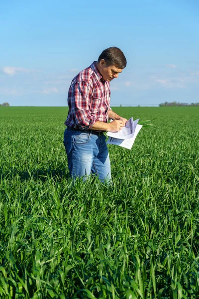 농부로서 들판에 나가서 곡물의 조사하고 검사하는데 이것은 농업에 개념이다 — 스톡 사진