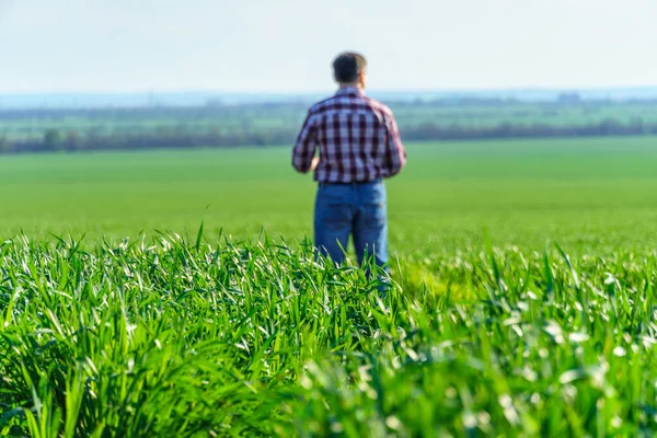 Homem Como Agricultor Coloca Campo Vestido Com Uma Camisa Xadrez — Fotografia de Stock