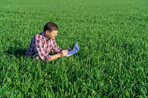 농부로서 들판에 나가서 곡물의 조사하고 검사하는데 이것은 농업에 개념이다 — 스톡 사진