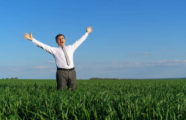 Zakenman Poseert Een Veld Kijkt Hij Verte Rust Groen Gras — Stockfoto