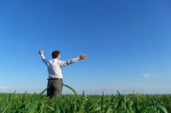 Biznesmen Pozuje Polu Patrzy Dal Odpoczywa Zielona Trawa Błękitne Niebo — Zdjęcie stockowe