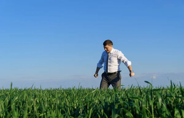 Businessman Walks Field Green Grass Blue Sky Background — Stock Photo, Image