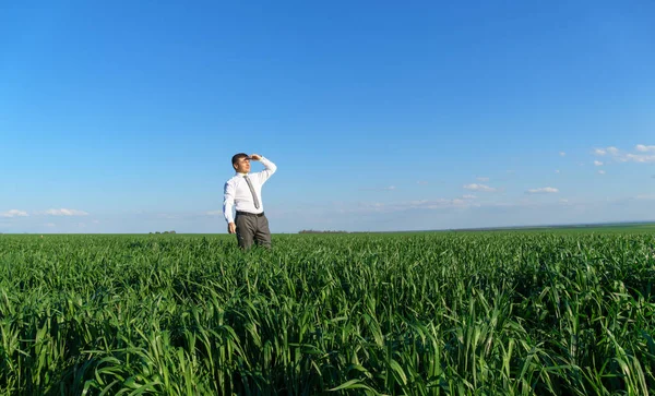 Empresário Posa Campo Ele Olha Para Distância Descansa Grama Verde — Fotografia de Stock