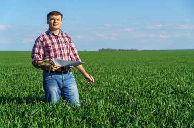 Çiftçi kılığında bir adam, ekose gömlek ve kot giymiş bir şekilde tarlada poz verir, genç lahanaları, buğday, arpa, çavdar veya diğer mısır gevreklerini, tarım ve tarım kavramını kontrol eder ve inceler.