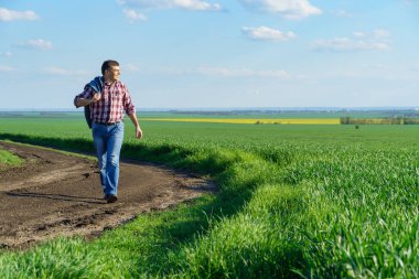 Bir çiftçi olarak tarlada ekose gömlek ve kot giymiş, buğday, arpa, çavdar ya da diğer mısır gevreklerinden oluşan taze lahanaları denetliyor ve denetliyor, bir tarım ve tarım kavramı.