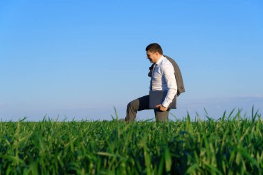 İş adamı yeşil bir alanda çalışır, serbest ve iş kavramı, arka plan olarak yeşil çimenler ve mavi gökyüzü
