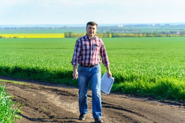 Çiftçi kılığında bir adam, ekose gömlek ve kot giymiş bir şekilde tarlada poz verir, genç lahanaları, buğday, arpa, çavdar veya diğer mısır gevreklerini, tarım ve tarım kavramını kontrol eder ve inceler.