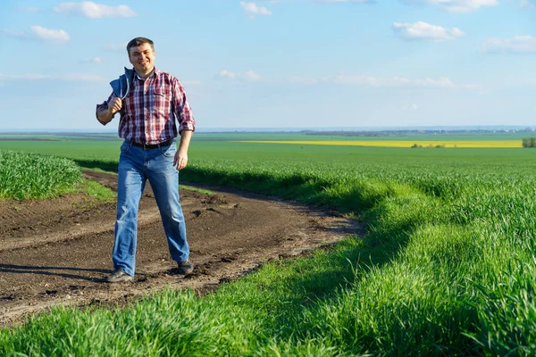 농부로서 들판을 곡류의 검사하고 검사하고 — 스톡 사진
