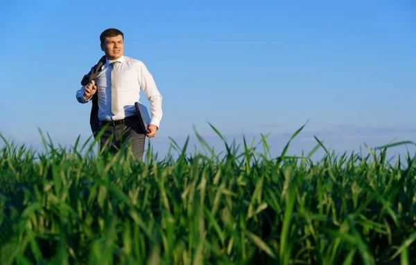 Geschäftsmann Arbeitet Auf Der Grünen Wiese Freiberufler Und Geschäftskonzept Grünes — Stockfoto