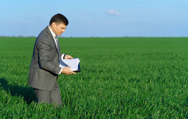 Businessman Works Green Field Freelance Business Concept Green Grass Blue Royalty Free Stock Photos