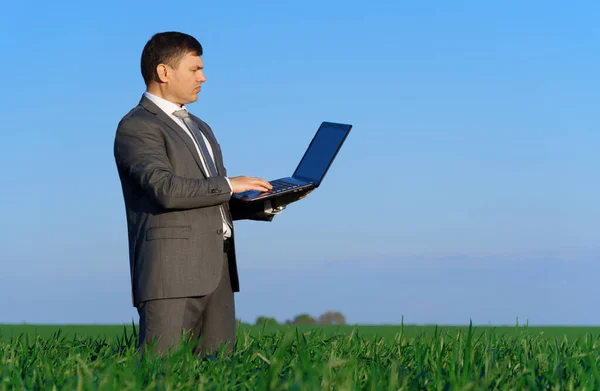 businessman works in a green field, freelance and business concept, green grass and blue sky as background