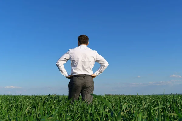 Businessman Poses Field Looks Distance Rests Green Grass Blue Sky Stock Photo