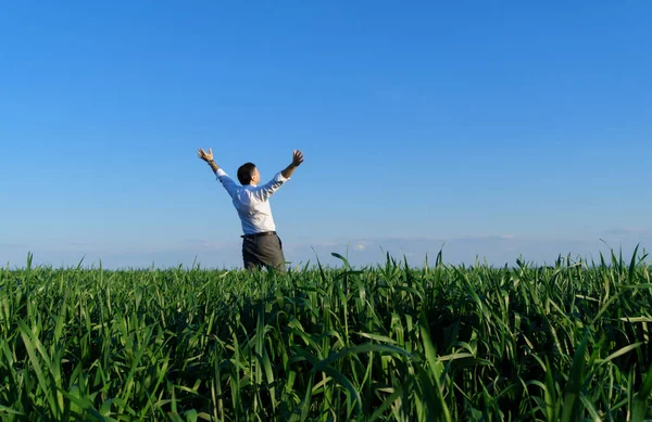 Homme Affaires Pose Dans Champ Regarde Dans Distance Repose Herbe — Photo