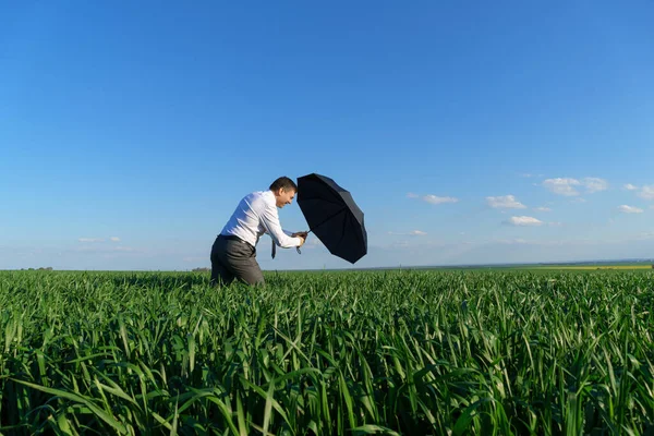 Biznesmen Pozuje Parasolem Polu Spada Koncepcja Kryzysu Zielona Trawa Błękitne — Zdjęcie stockowe