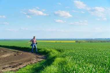 Bir çiftçi olarak tarlada ekose gömlek ve kot giymiş, buğday, arpa, çavdar ya da diğer mısır gevreklerinden oluşan taze lahanaları denetliyor ve denetliyor, bir tarım ve tarım kavramı.